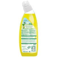 Frosch WC-Reiniger