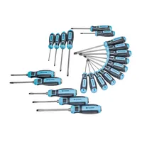 QUANTOOL Schraubendreher Set 21 tlg. 4003315856245 QUANTOOL