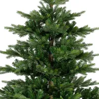 Kaemingk Weihnachtsbaum EVERLANDS Grandis Tanne 681454 300cm 8718532241540 Kaemingk