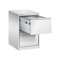 CP C 2000 Acurado Hängeregistraturschrank lichtgrau 2 Schubladen 43,3 x 59,0 x 73,3 cm, 1 St.