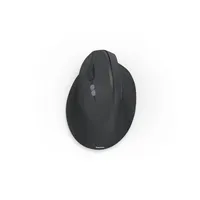 Hama Optische PC Maus EWM-500L ergonomisch