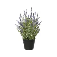 Decoris Lavendelpflanze 30x48cm 8720725314870 Decoris