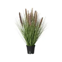 Decoris Kunstpflanze im Topf 30x30x68cm 8720725125568 Decoris