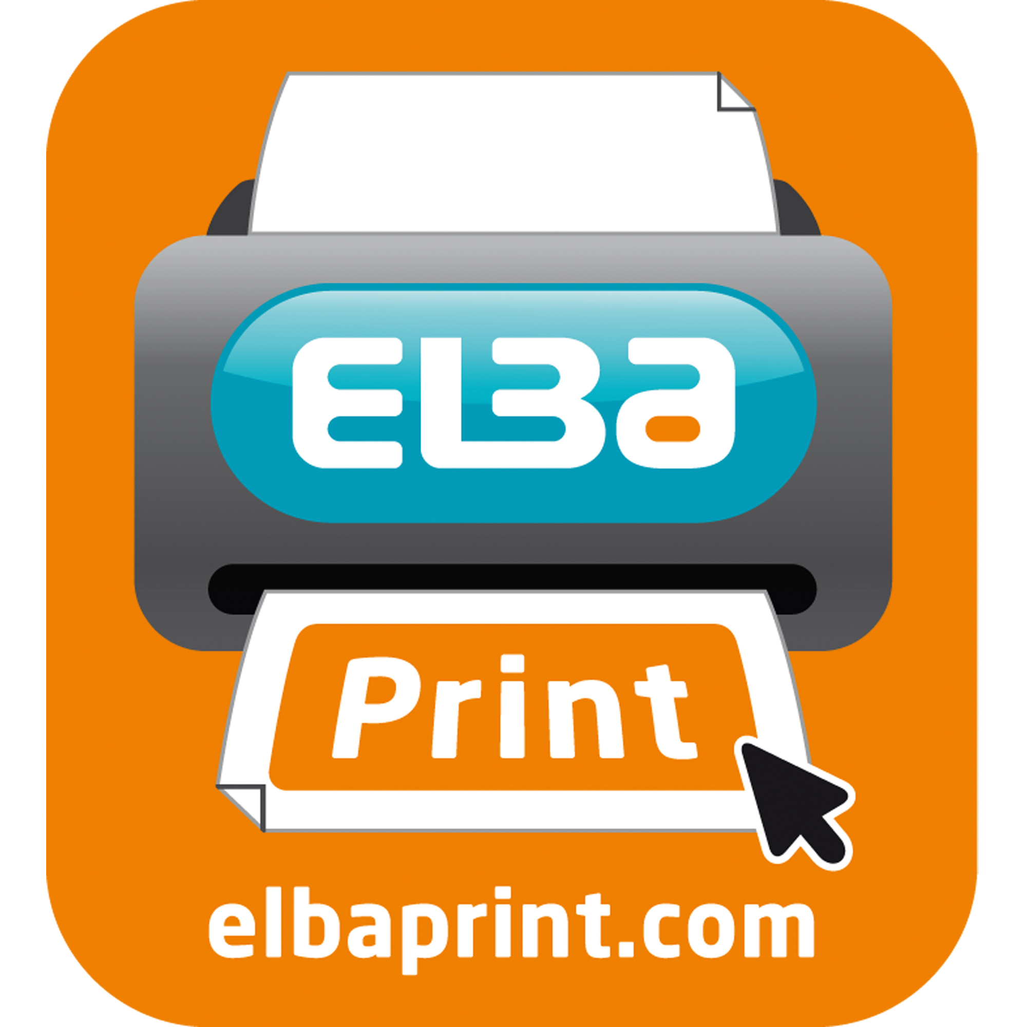 ELBA Ordner rado plast Kunststoff 80 mm DIN A4 — 2