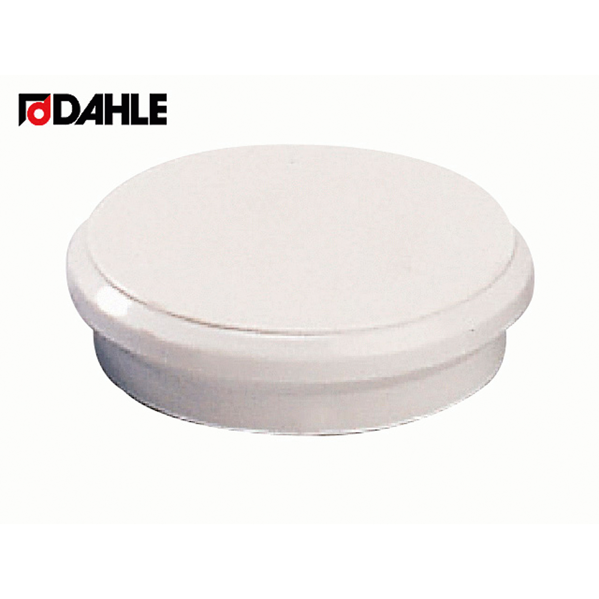 DAHLE Magnet 10 St./Pack. — 2