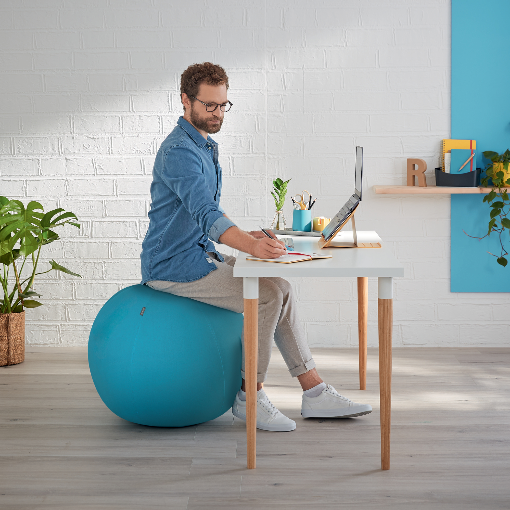 Leitz Sitzball Ergo Cosy — 2