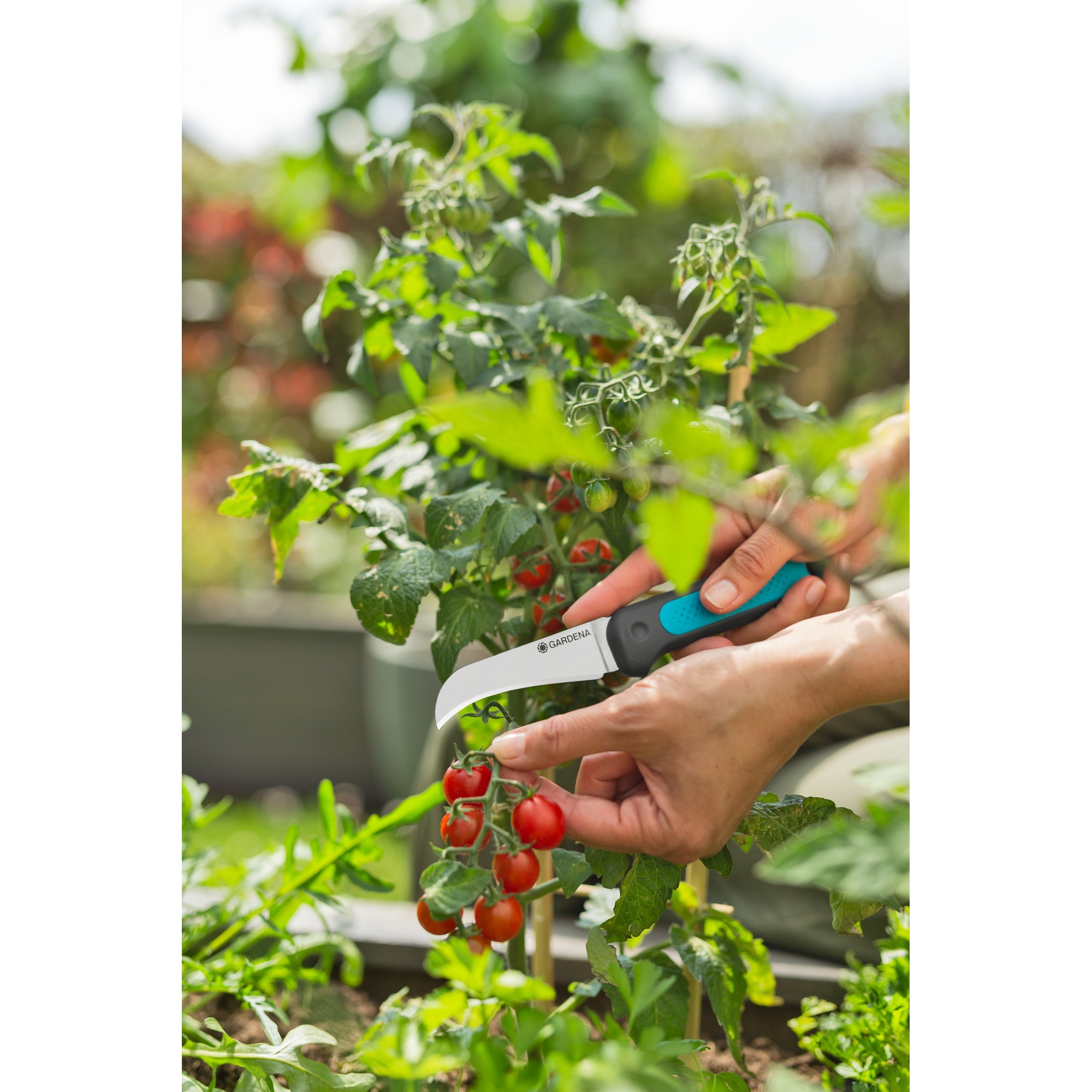 GARDENA Erntemesser VeggiCut — 2