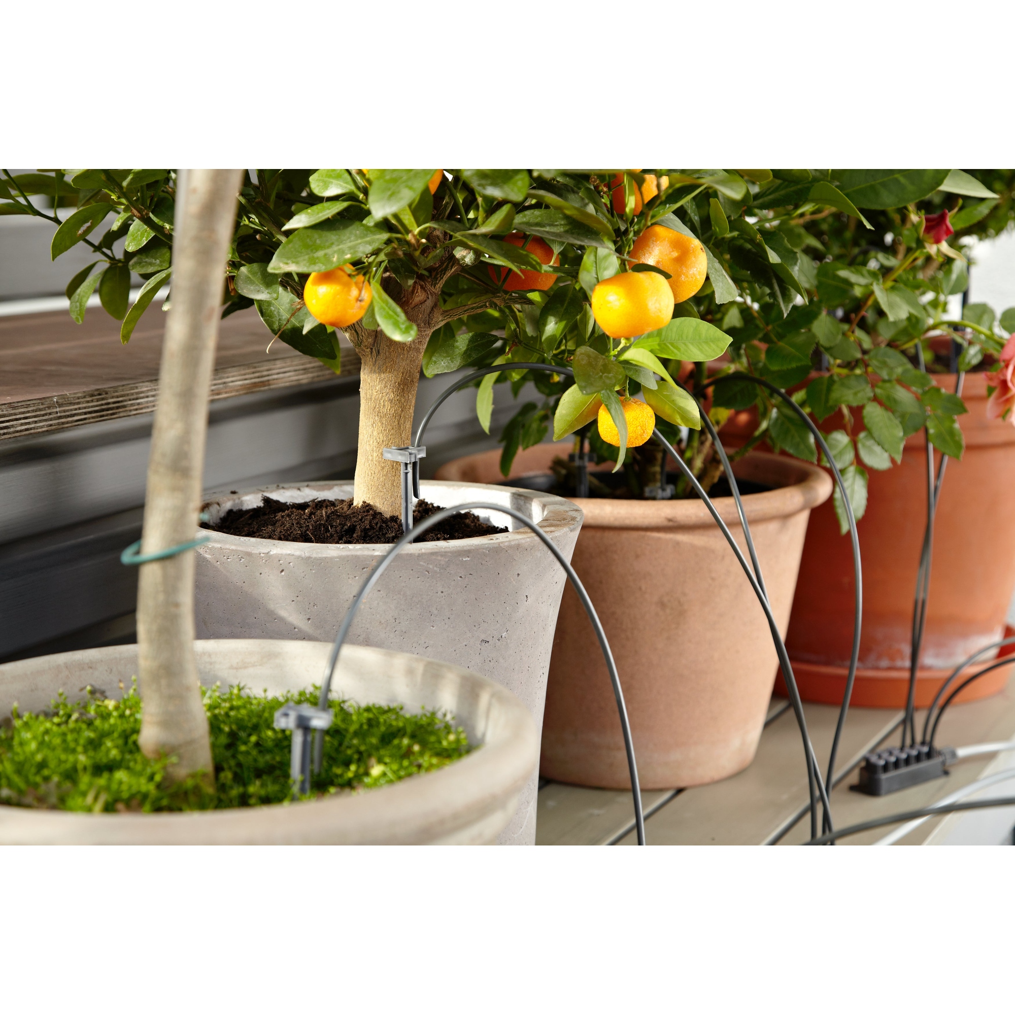 GARDENA Bewässerungssystem — 2