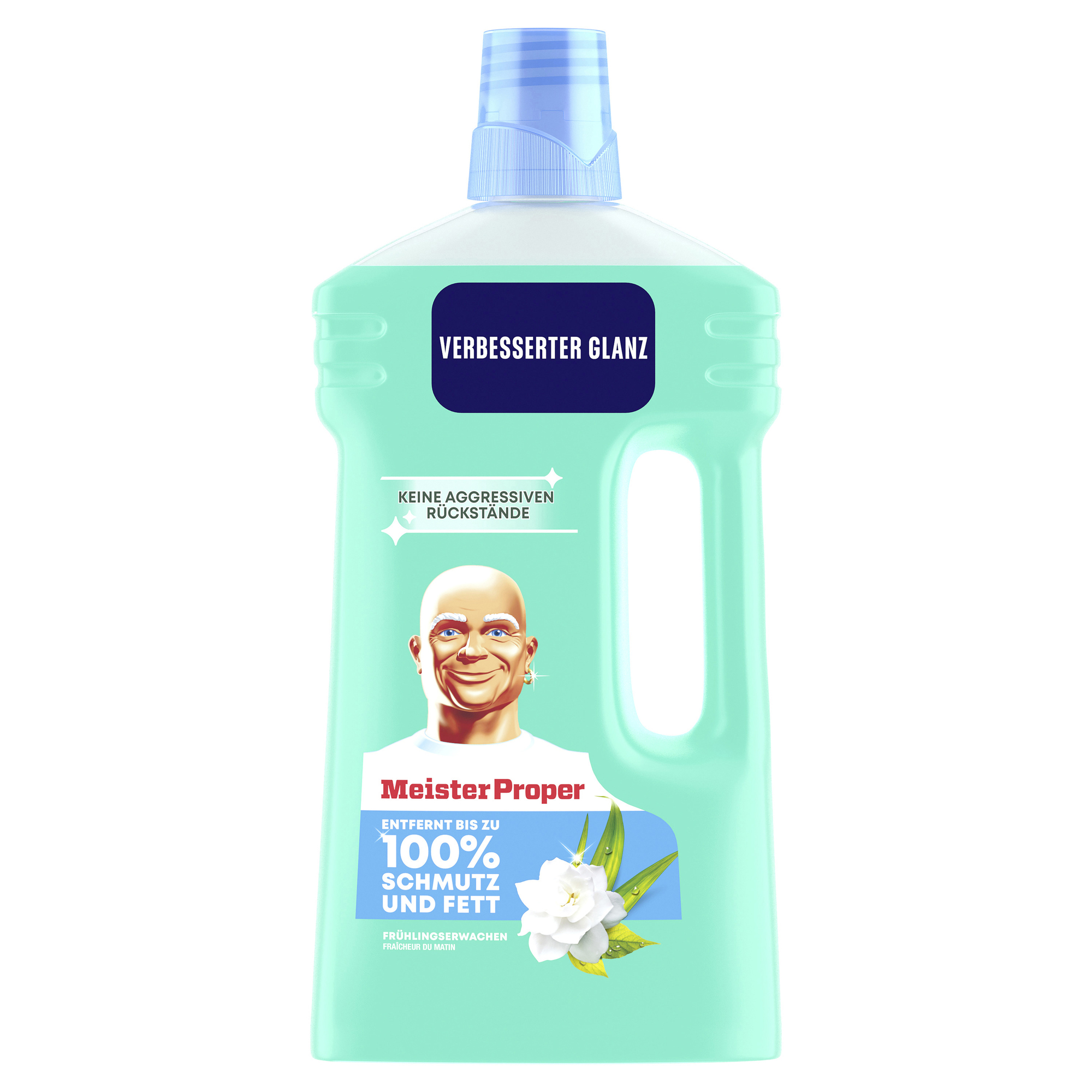 Meister Proper Allzweckreiniger — 2