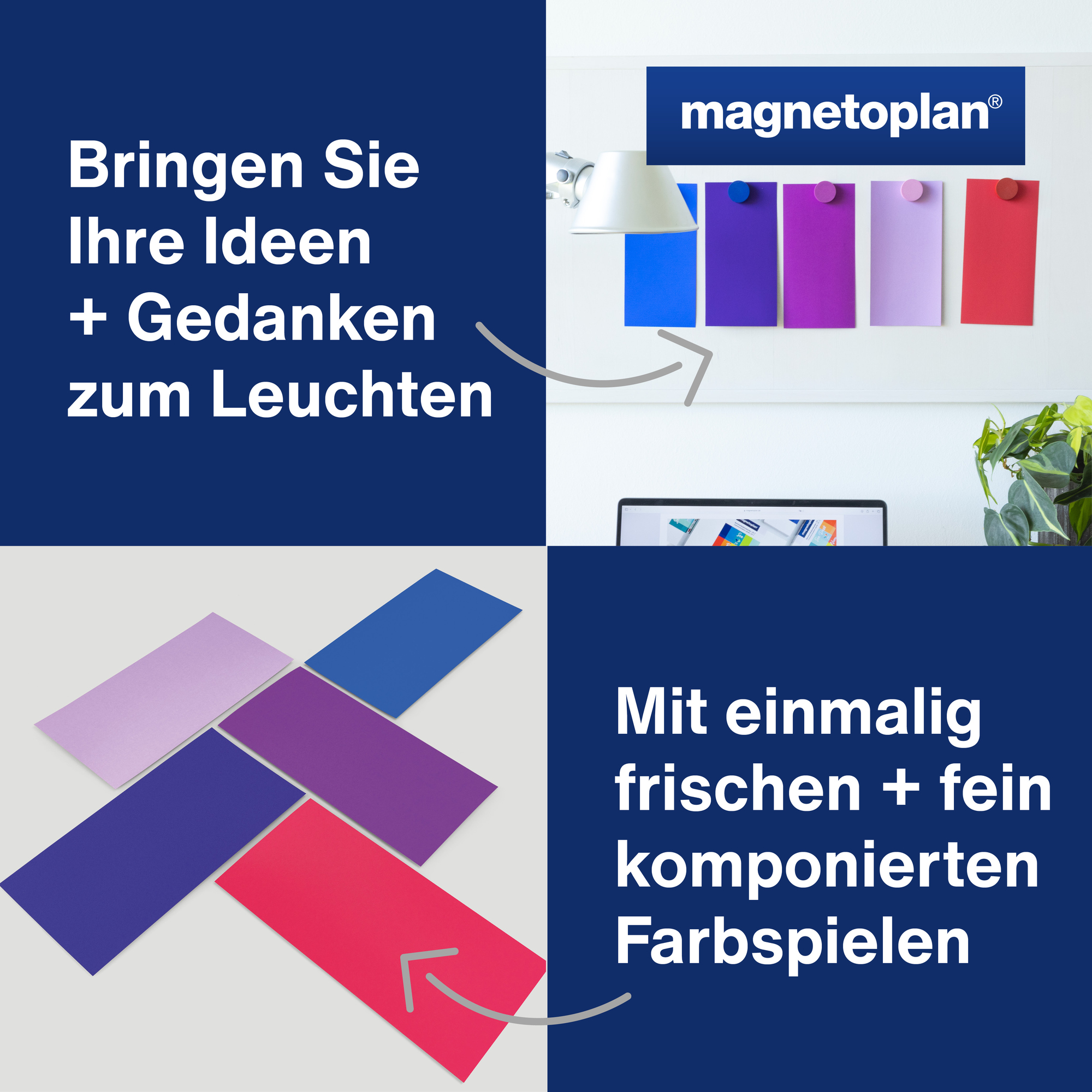 magnetoplan® Moderationskarte Dawn — 2