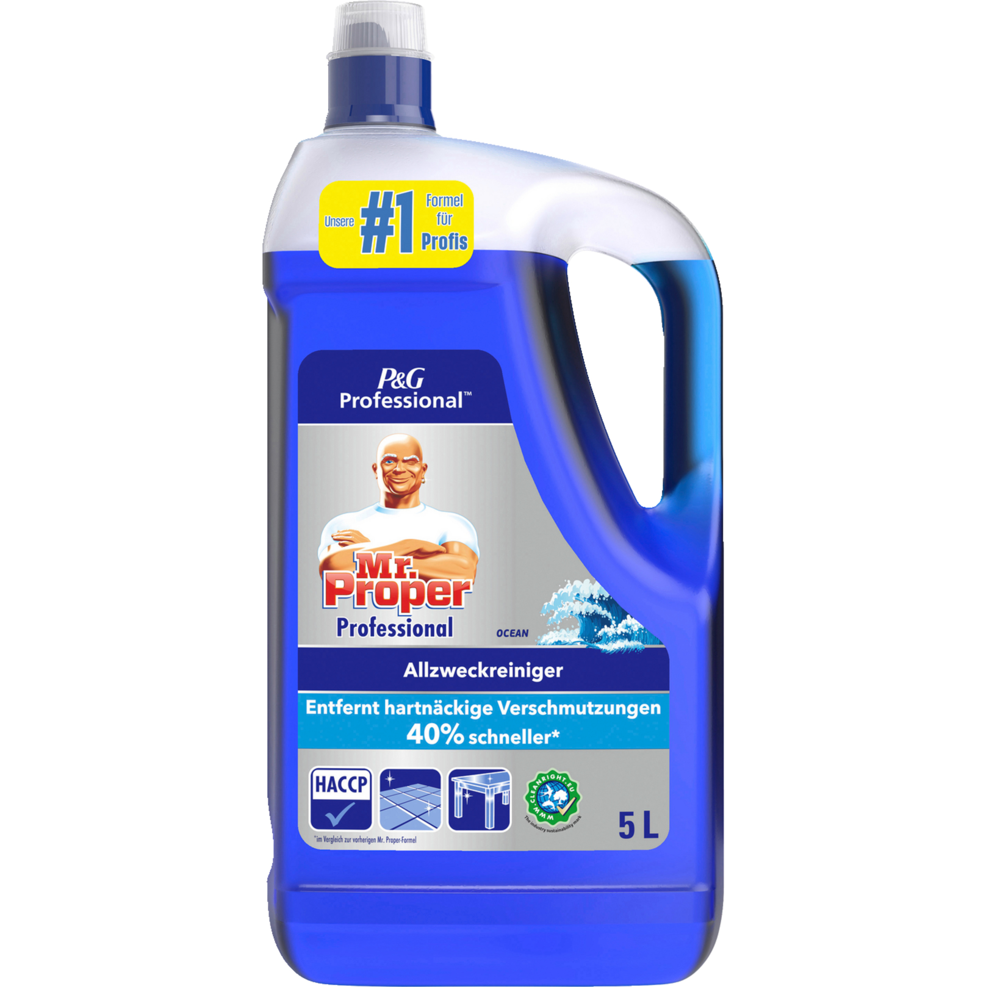 Meister Proper Allzweckreiniger Professional — 2