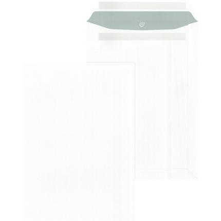 A013865V