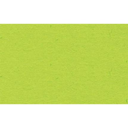 Y001352X
